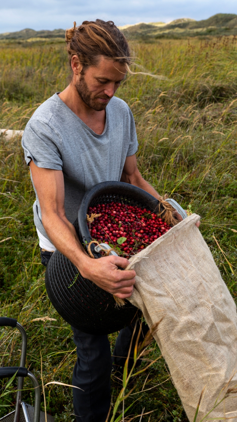 Cranberry Terschelling