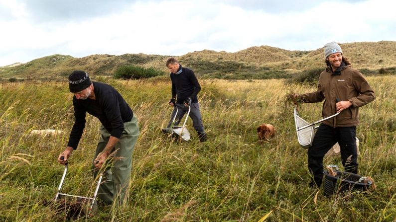 Cranberries van Terschelling